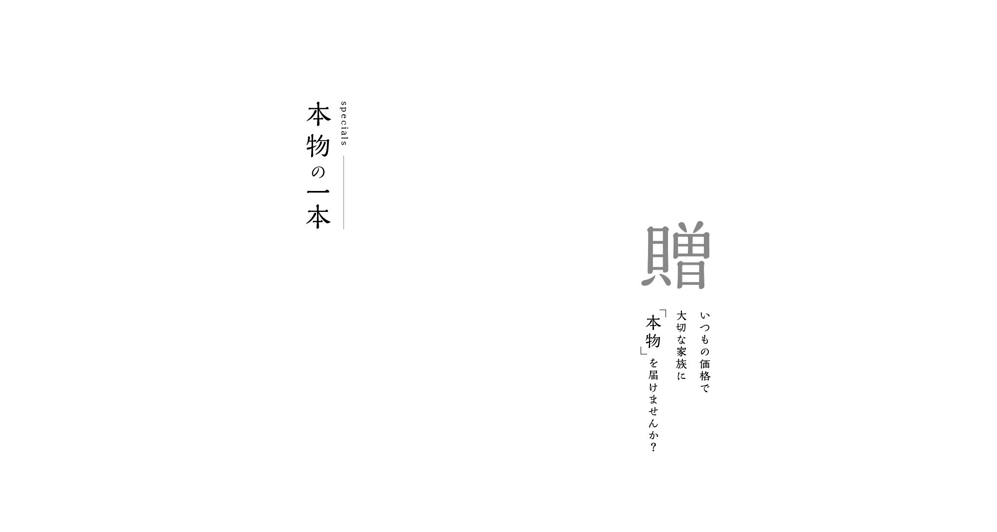 wrapper_bg_top_bg02